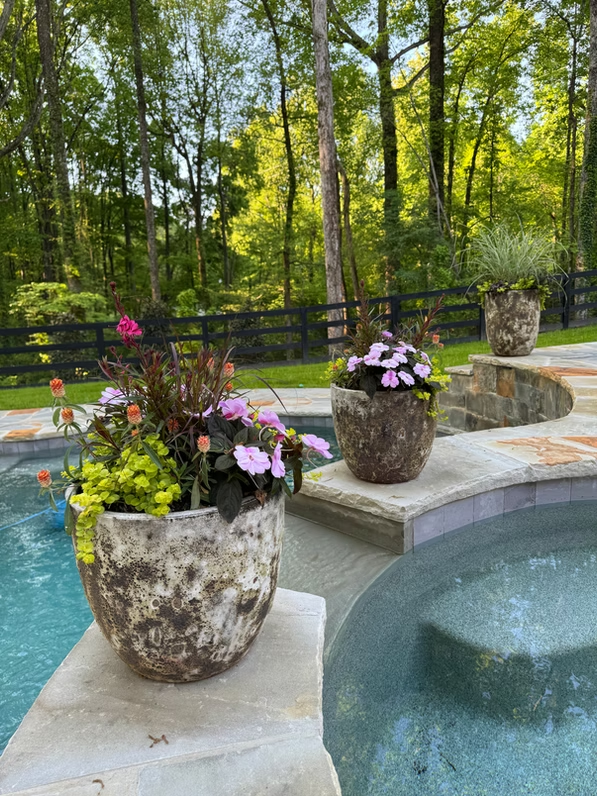 Planters beside a pool and spa
